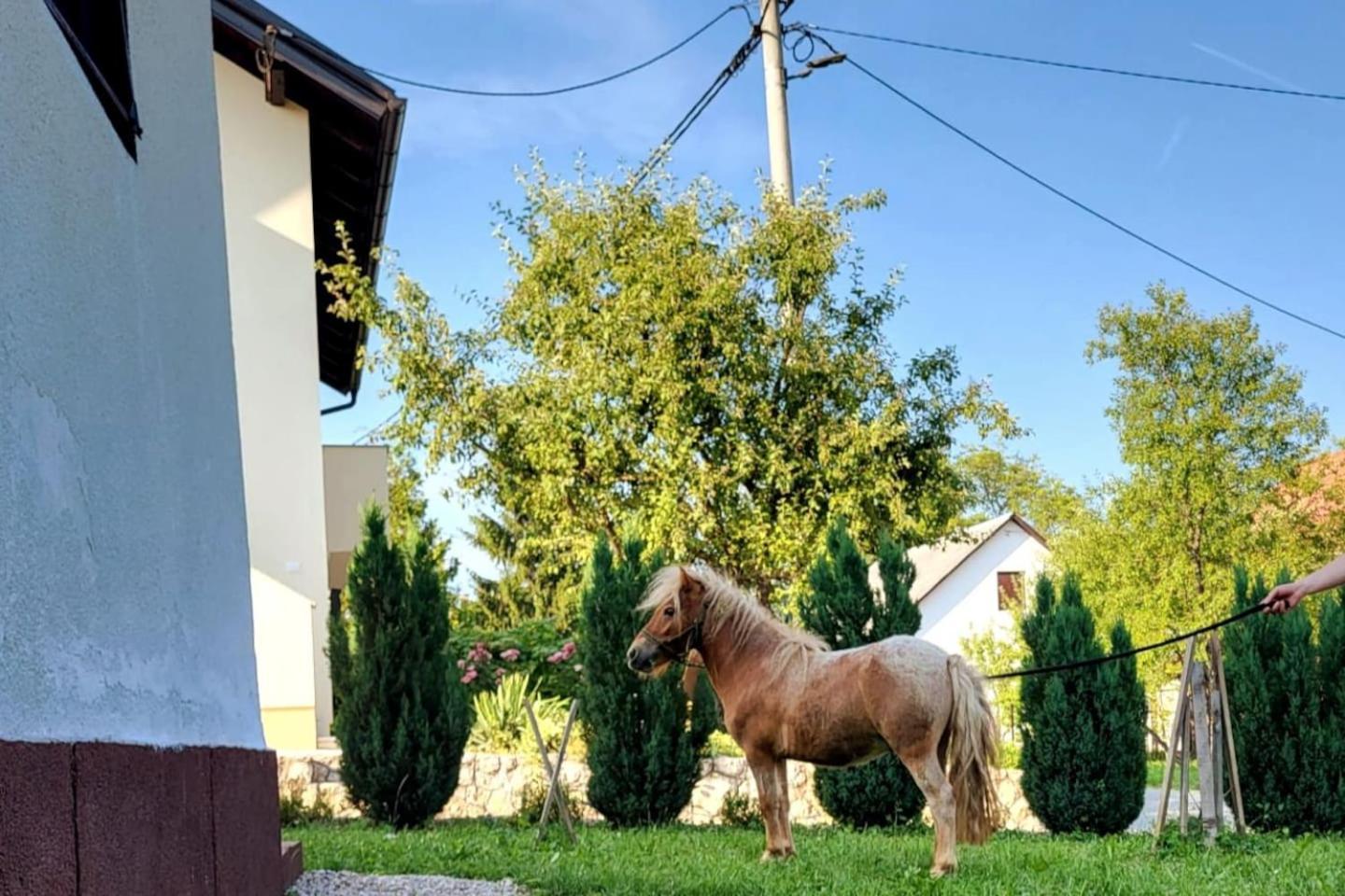 Apartment Dado Slunj Dış mekan fotoğraf